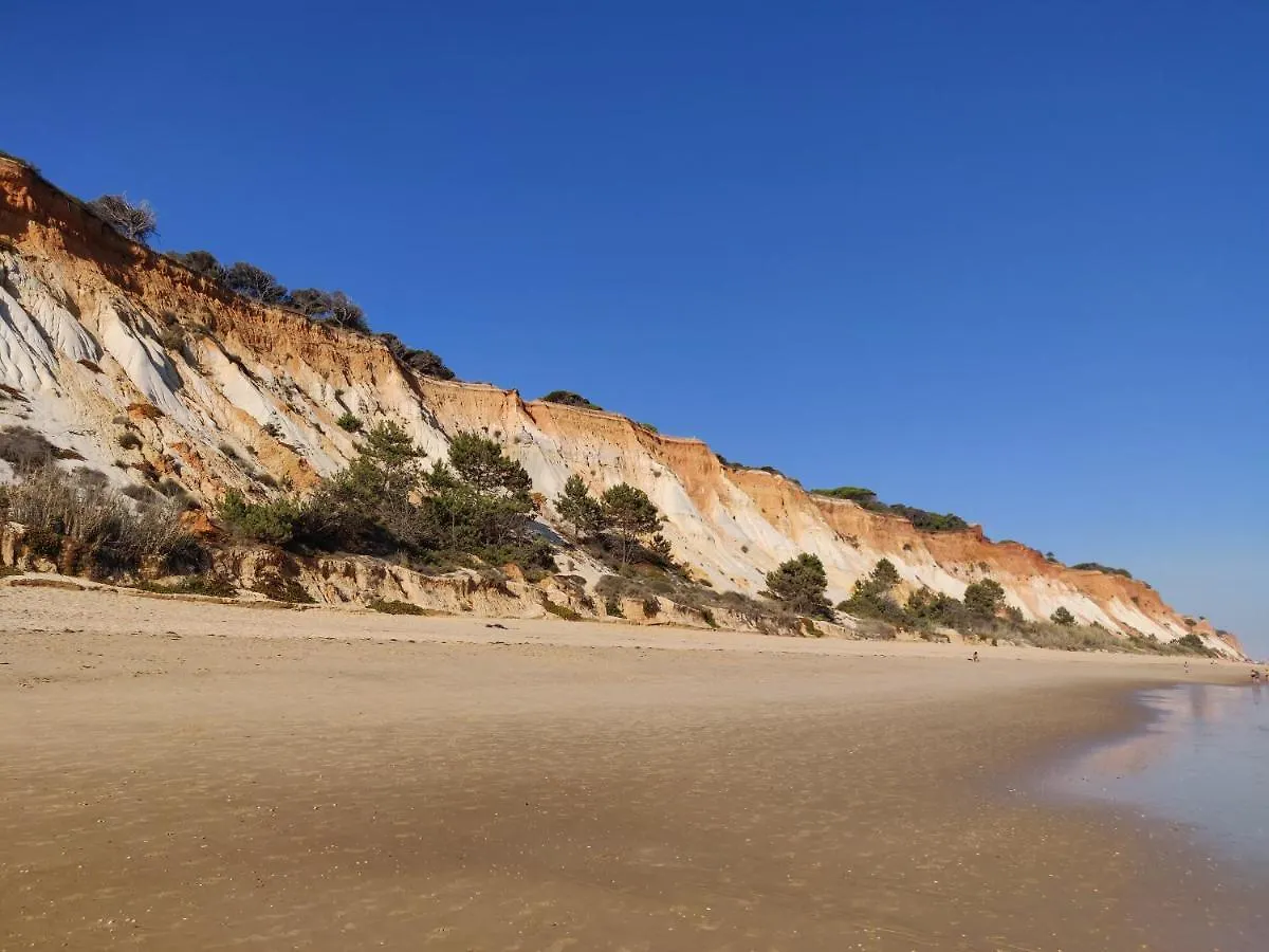 אולוס די אגווה Algarve Albufeira, Quiet Apart With Pool At 10 Mn Walk From Praia Da Falesia דירה אולוס די אגווה