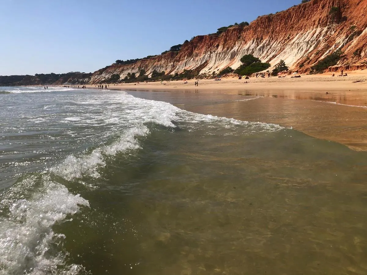 Algarve Albufeira, Quiet Apart With Pool At 10 Mn Walk From Praia Da Falesia Apartamento Olhos de Agua
